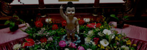 Filial Piety Birthday Prayer Service @ Hsi Fang Temple